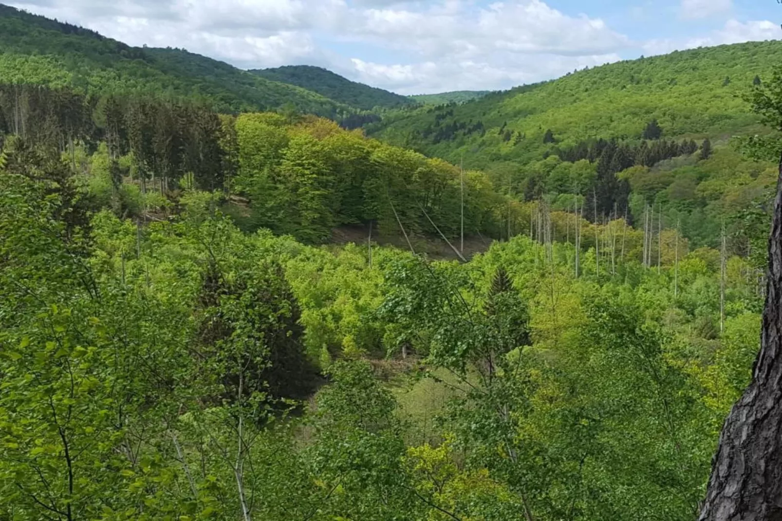 Am Sternberg-Areas within 20km in summer
