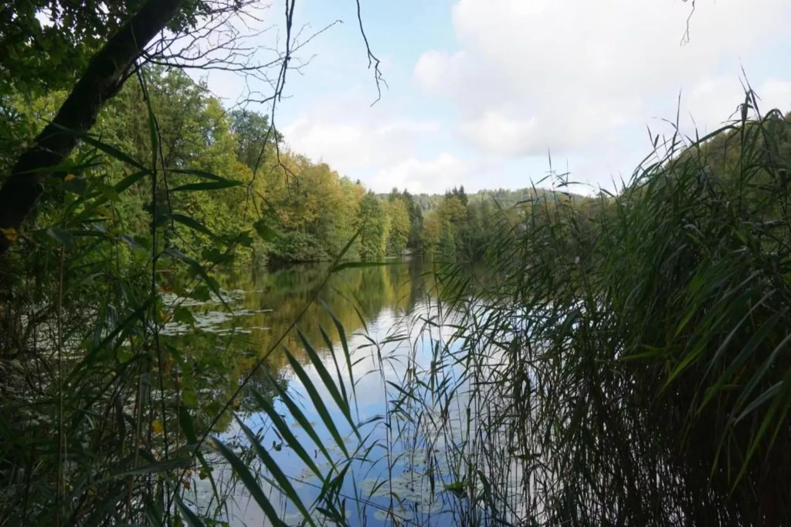 Feriendorf Uslar 2-Areas within 20km in summer