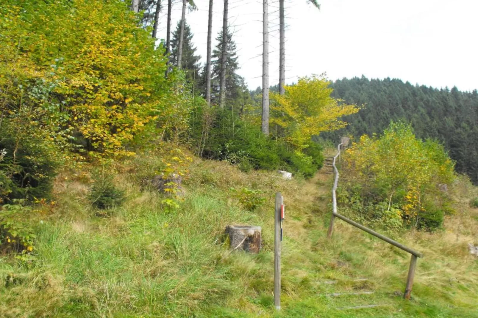 Spiegeltal-Gebiete Sommer 5 km