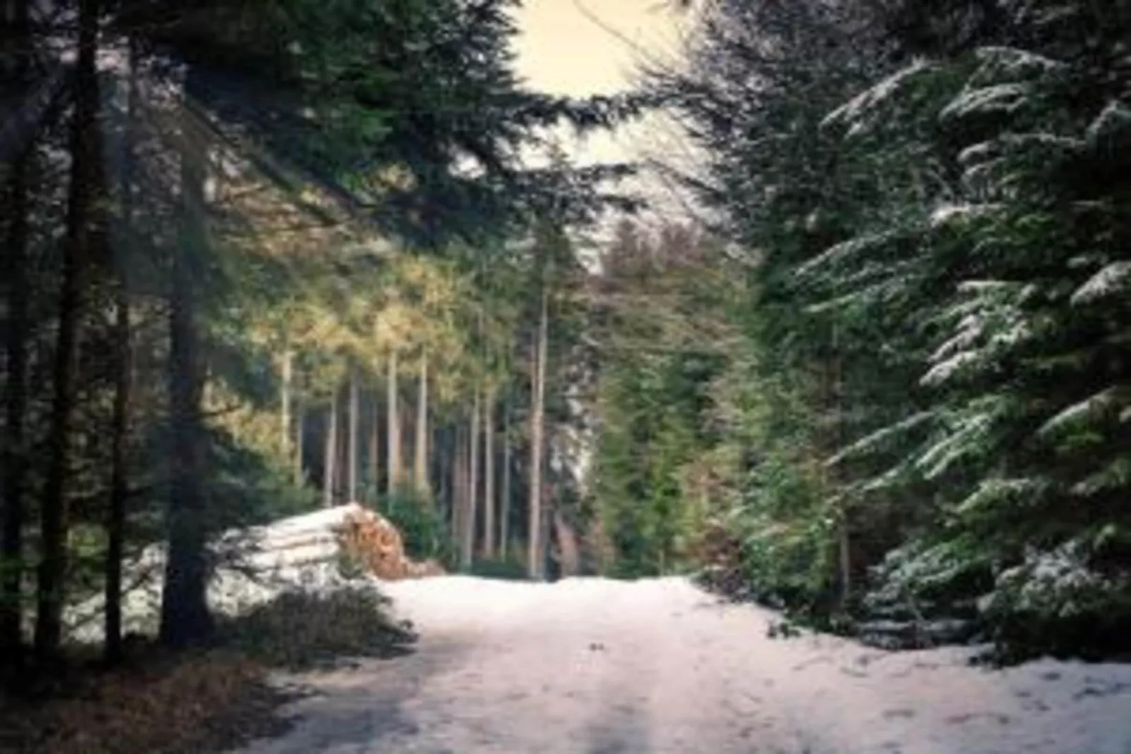 Ferienwohnung Jagdglück-Area within 20km in winter