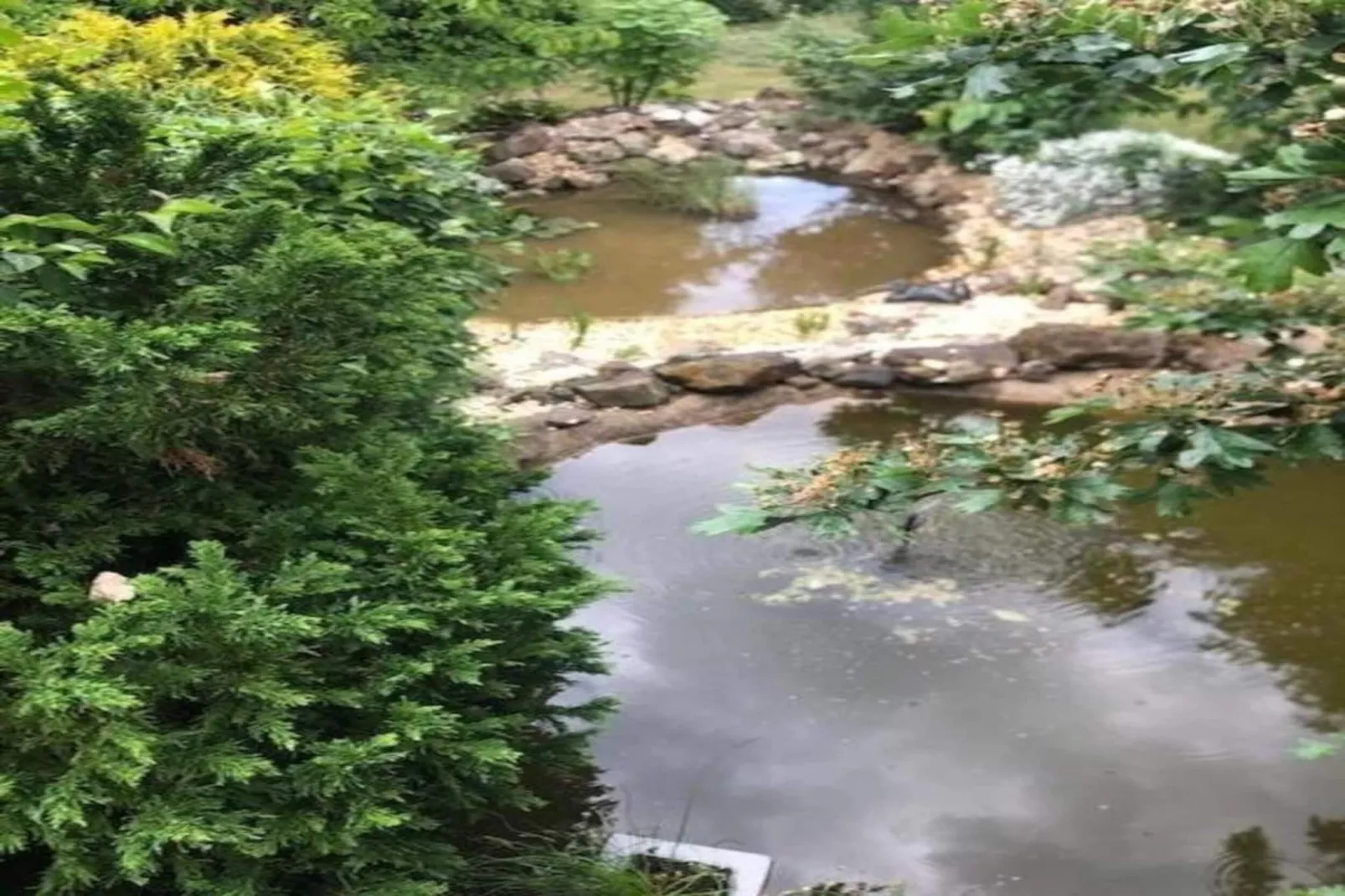 Ferienhaus im Harz-Zones été à 5 km