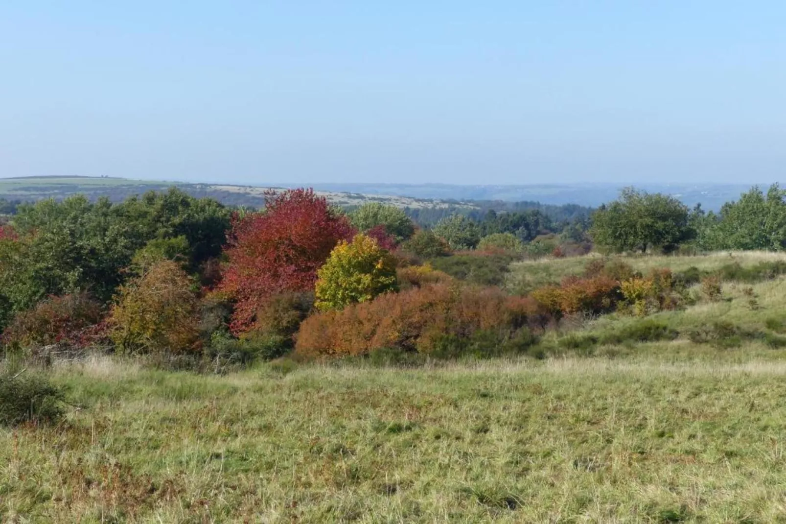 Morsbacher Hof III-Gebiete Sommer 20 km