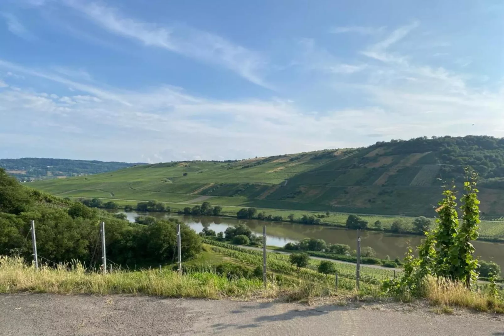 Beatrix-Areas within 5km in summer