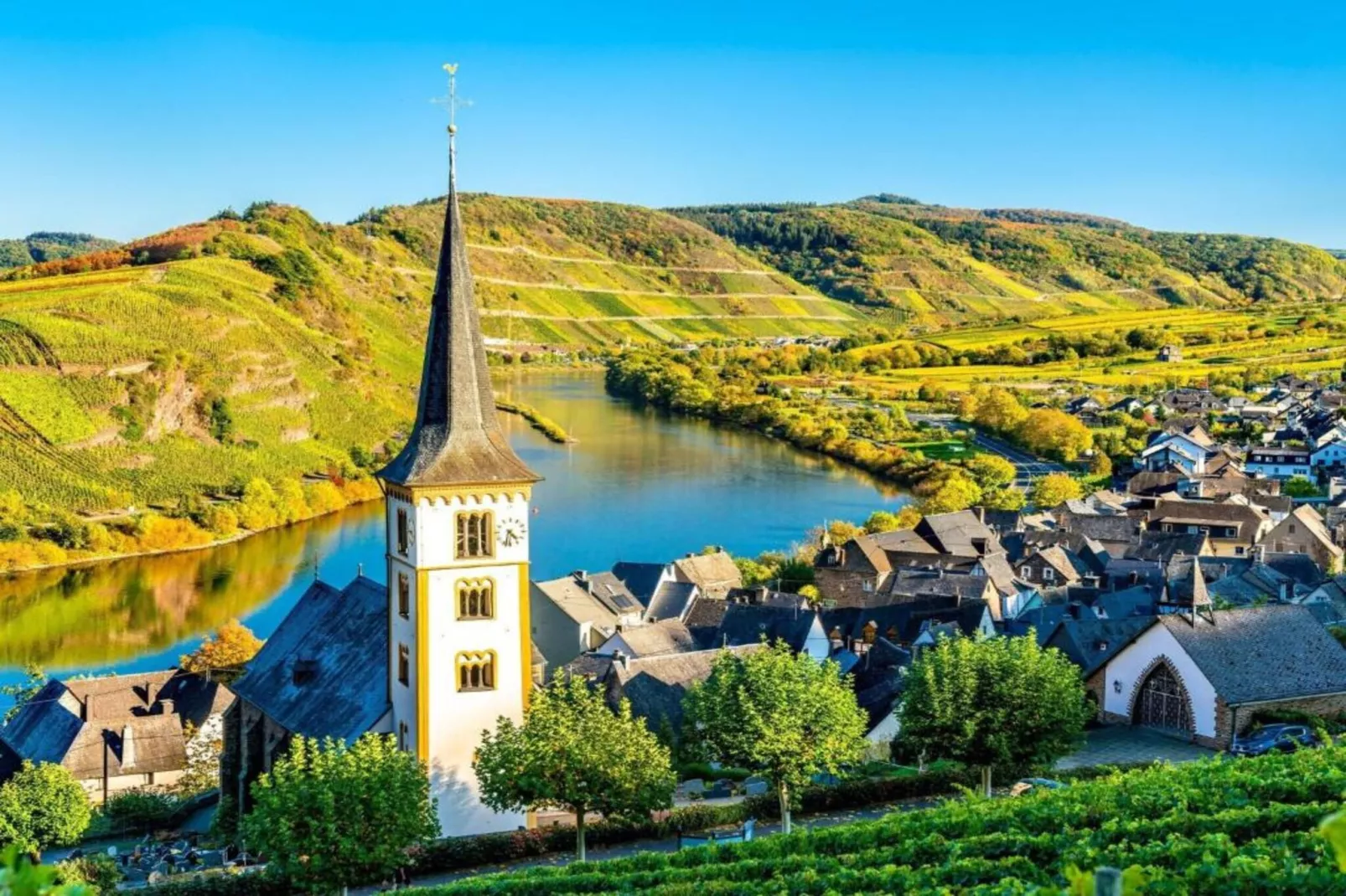 Schwalbennest-Areas within 5km in summer