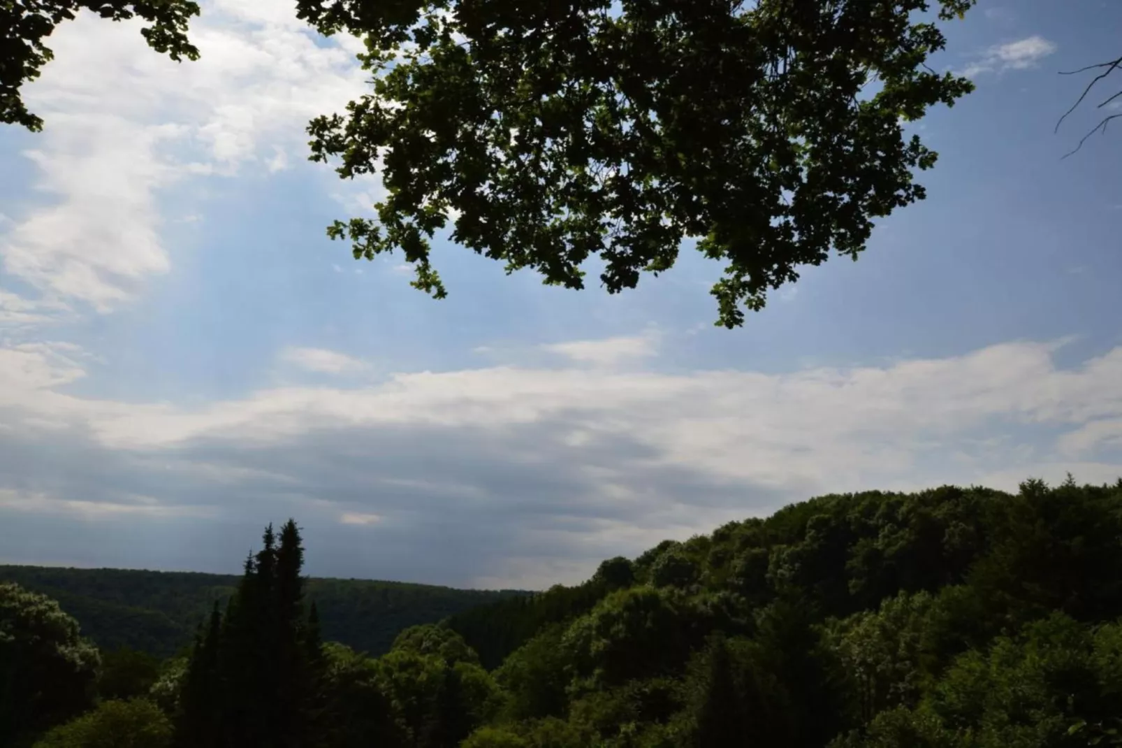 Turm zur Pfaffenley-Zones été à 20 km