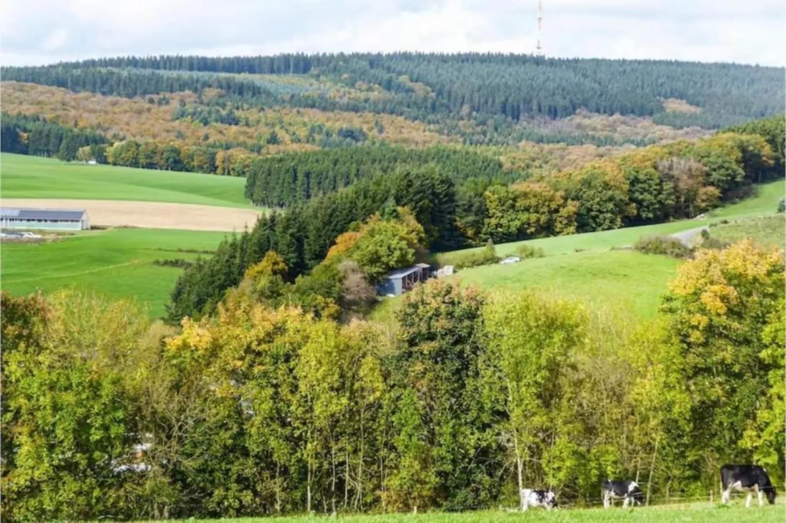 Eschbachtal-Areas within 20km in summer