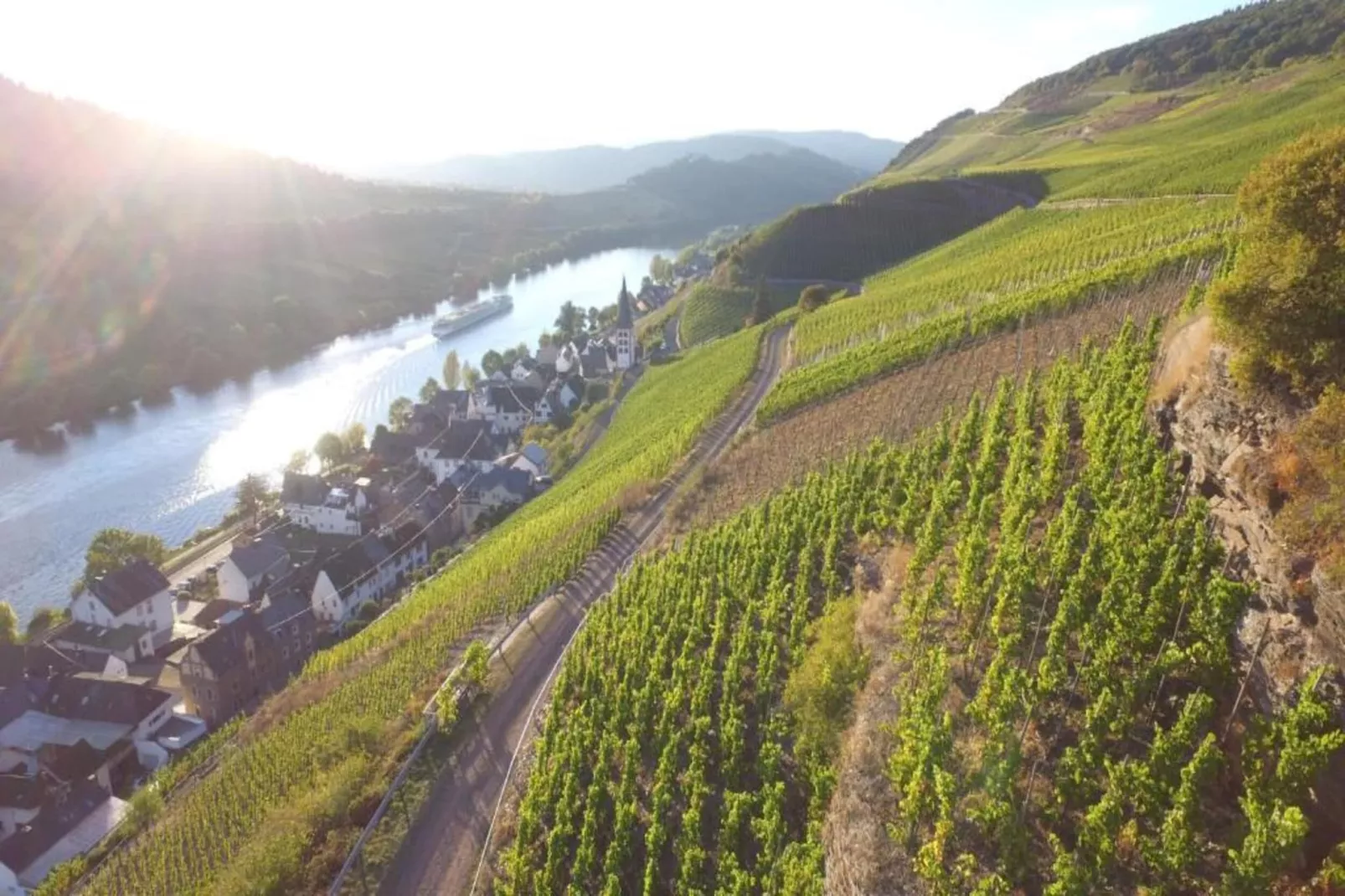 Ferienresort Cochem 34-Areas within 20km in summer
