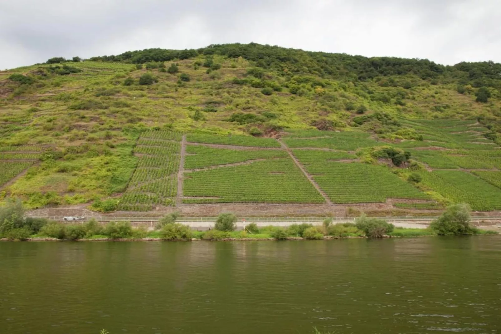 Weingut Hausmann-Gebiete Sommer 20 km