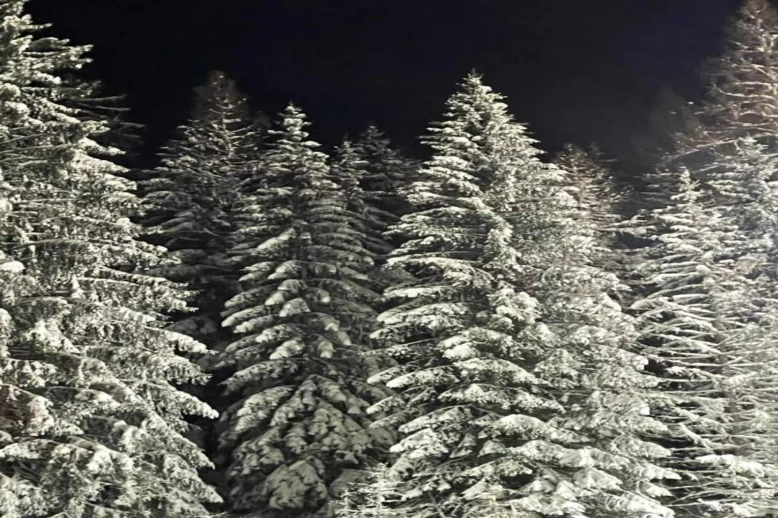 Kramer-Gebiet Winter 20 km