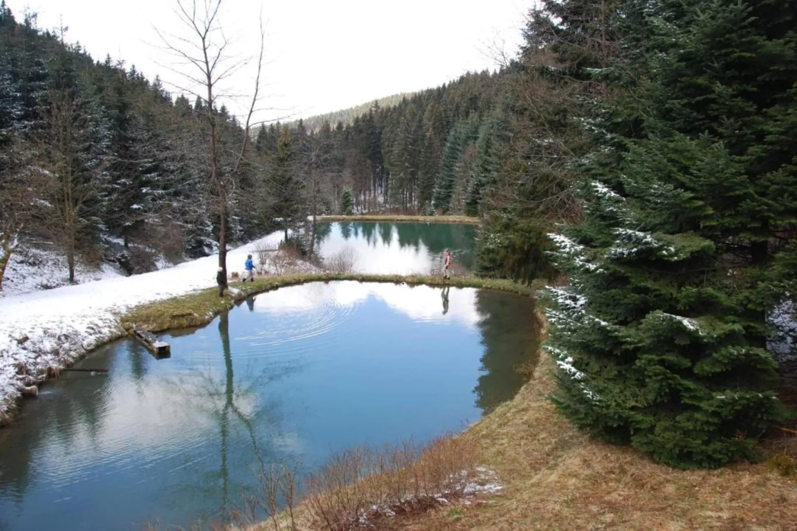 Gemütliches Chalet an den Skipisten-Area within 5km in winter