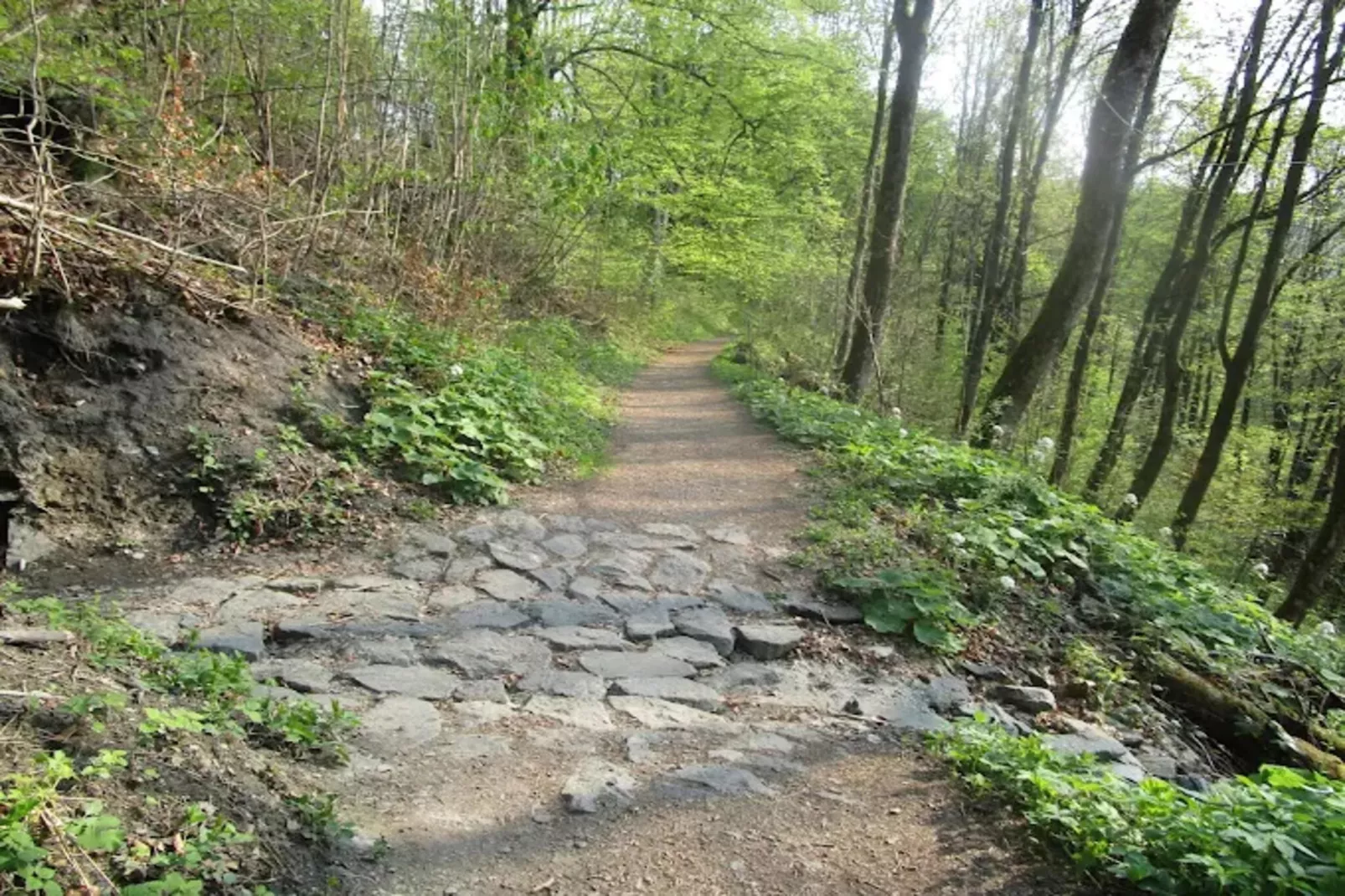 Buchenweg 13 - Kappenblick-Zones été à 5 km