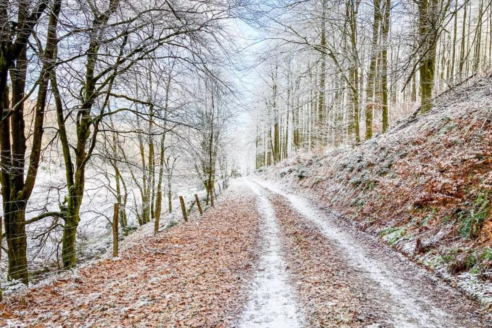 Am Astenberg-Area within 5km in winter
