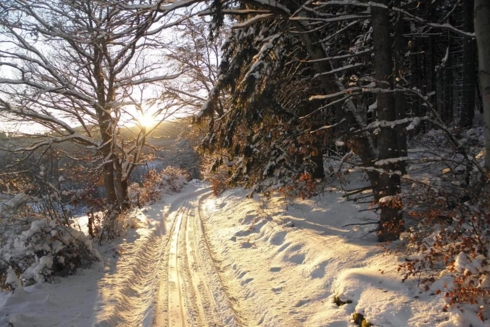 Medebach-Gebiet Winter 1 km