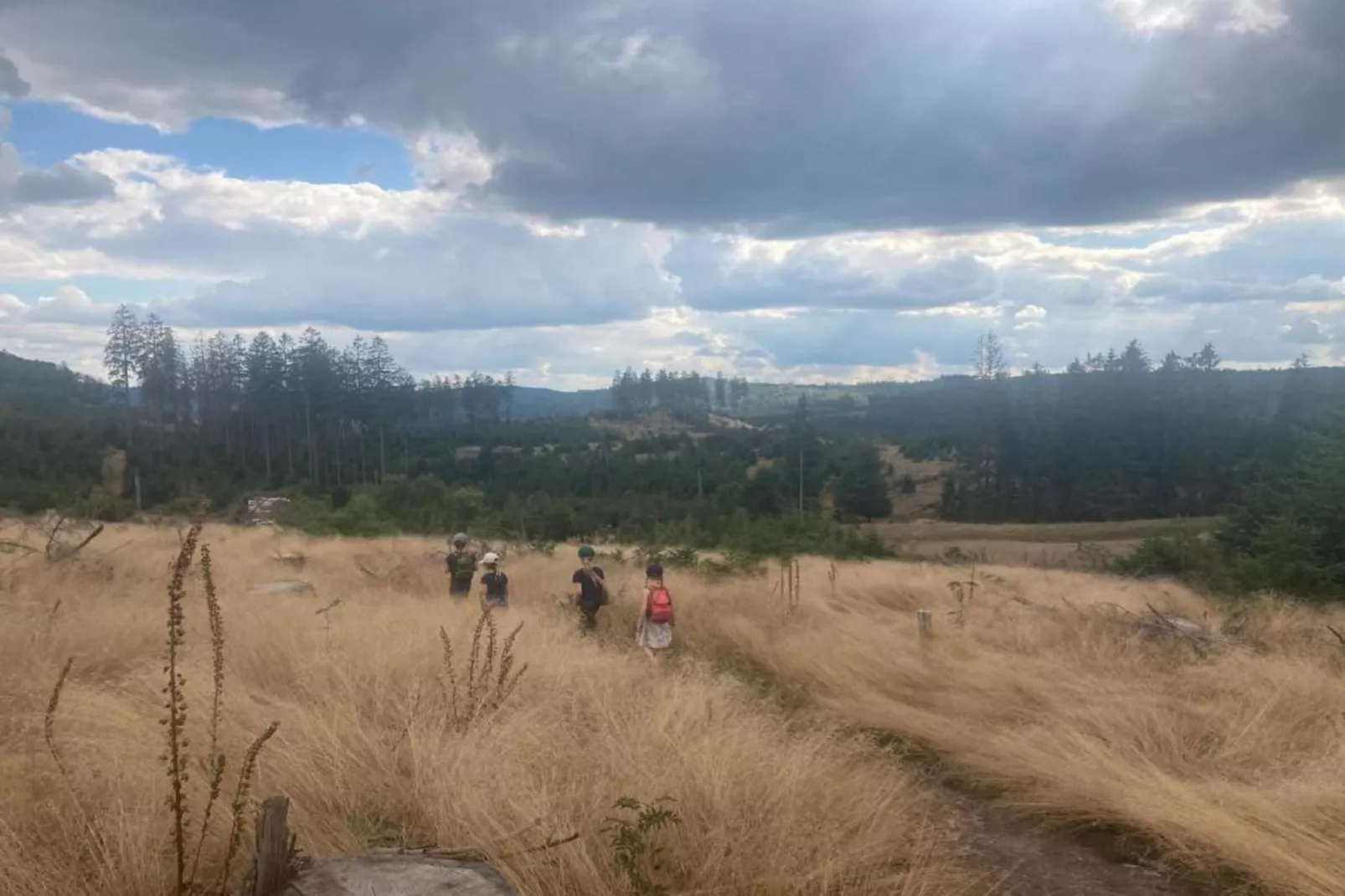 Medebach-Gebiete Sommer 5 km