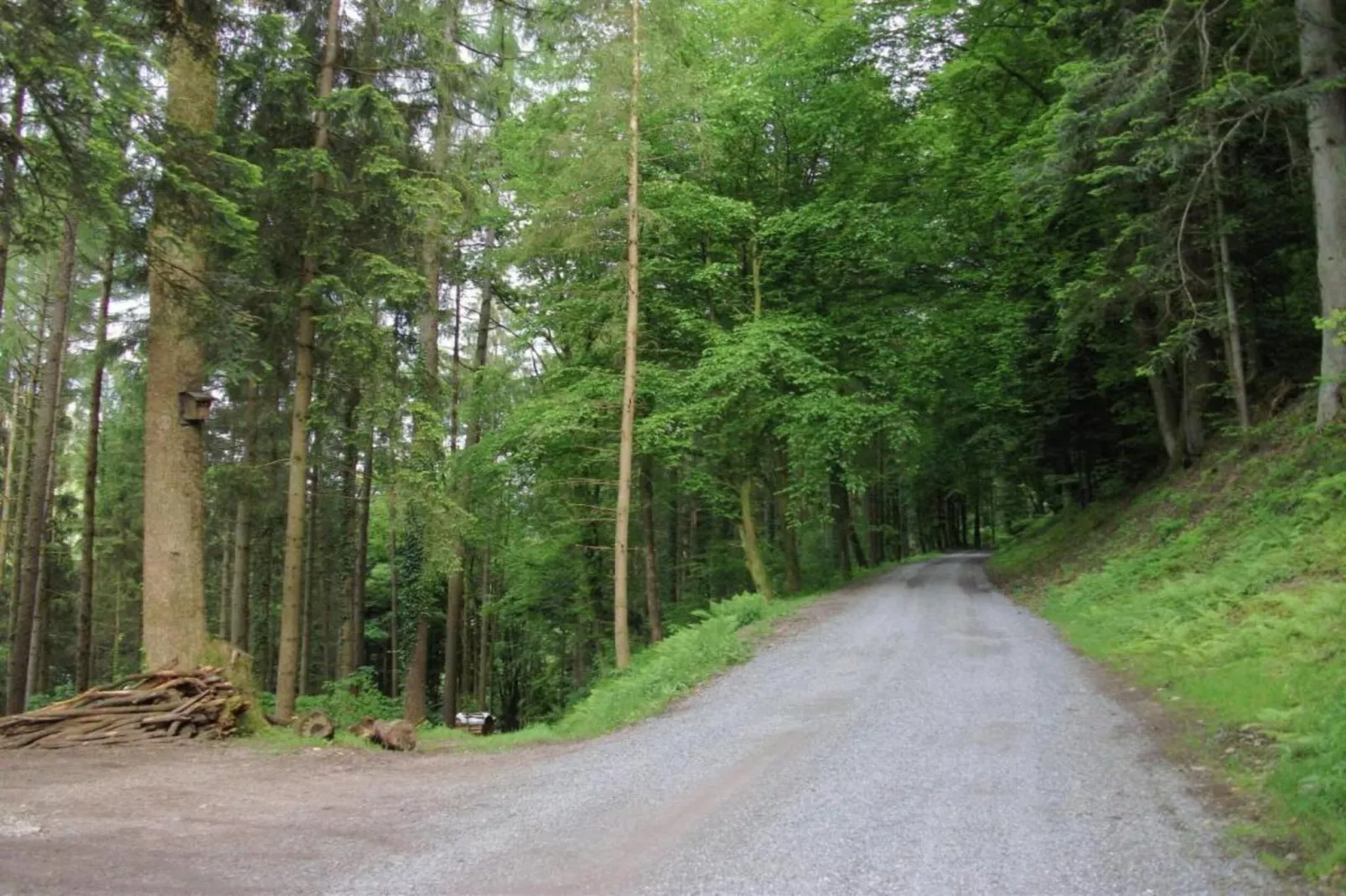 Panoramablick-Areas within 20km in summer