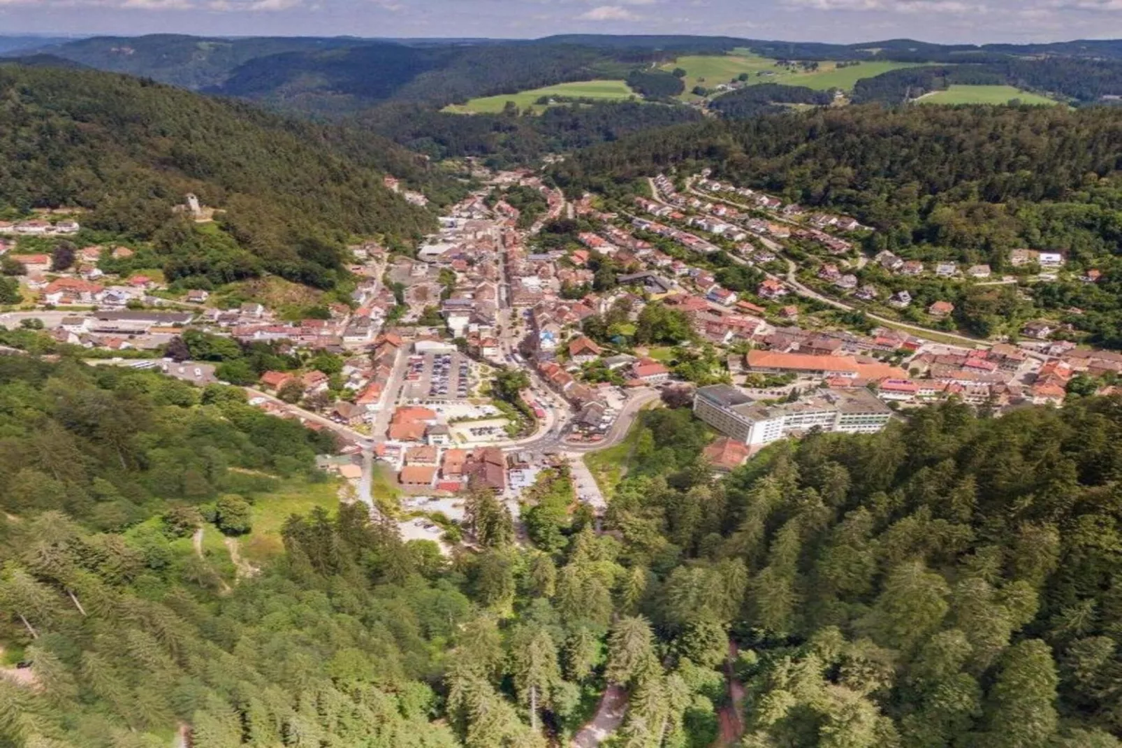 Schwarzwald-Gebiete Sommer 20 km