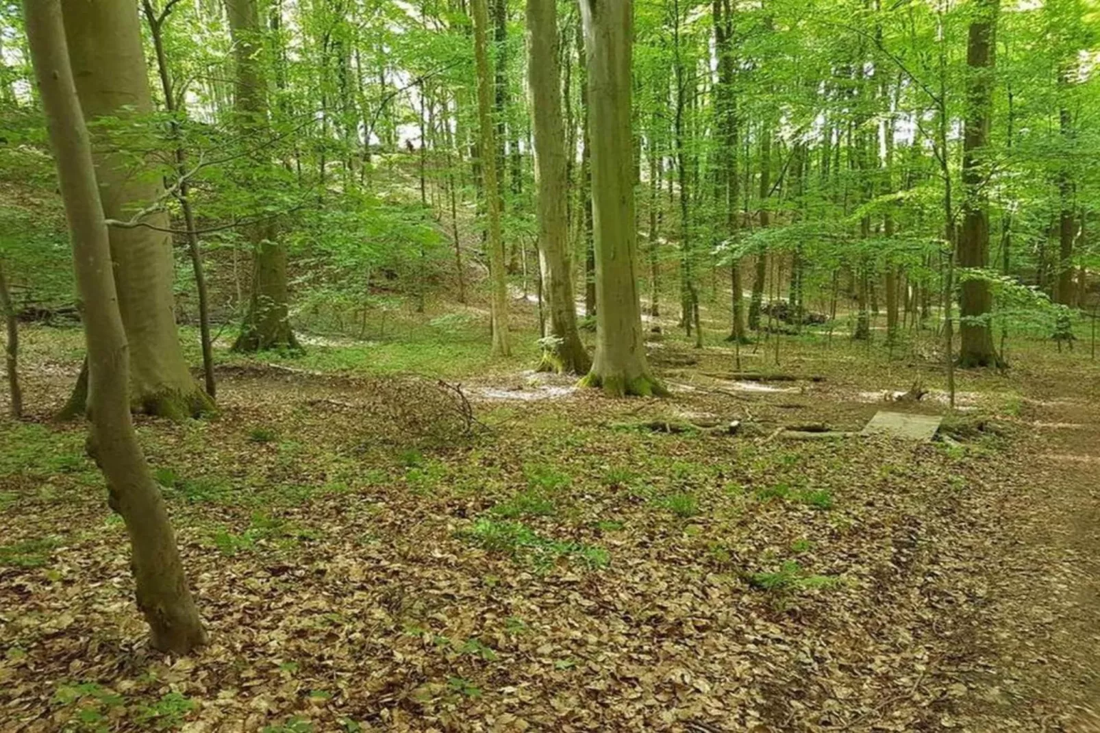 Ferienwohnung Franz-Areas within 20km in summer