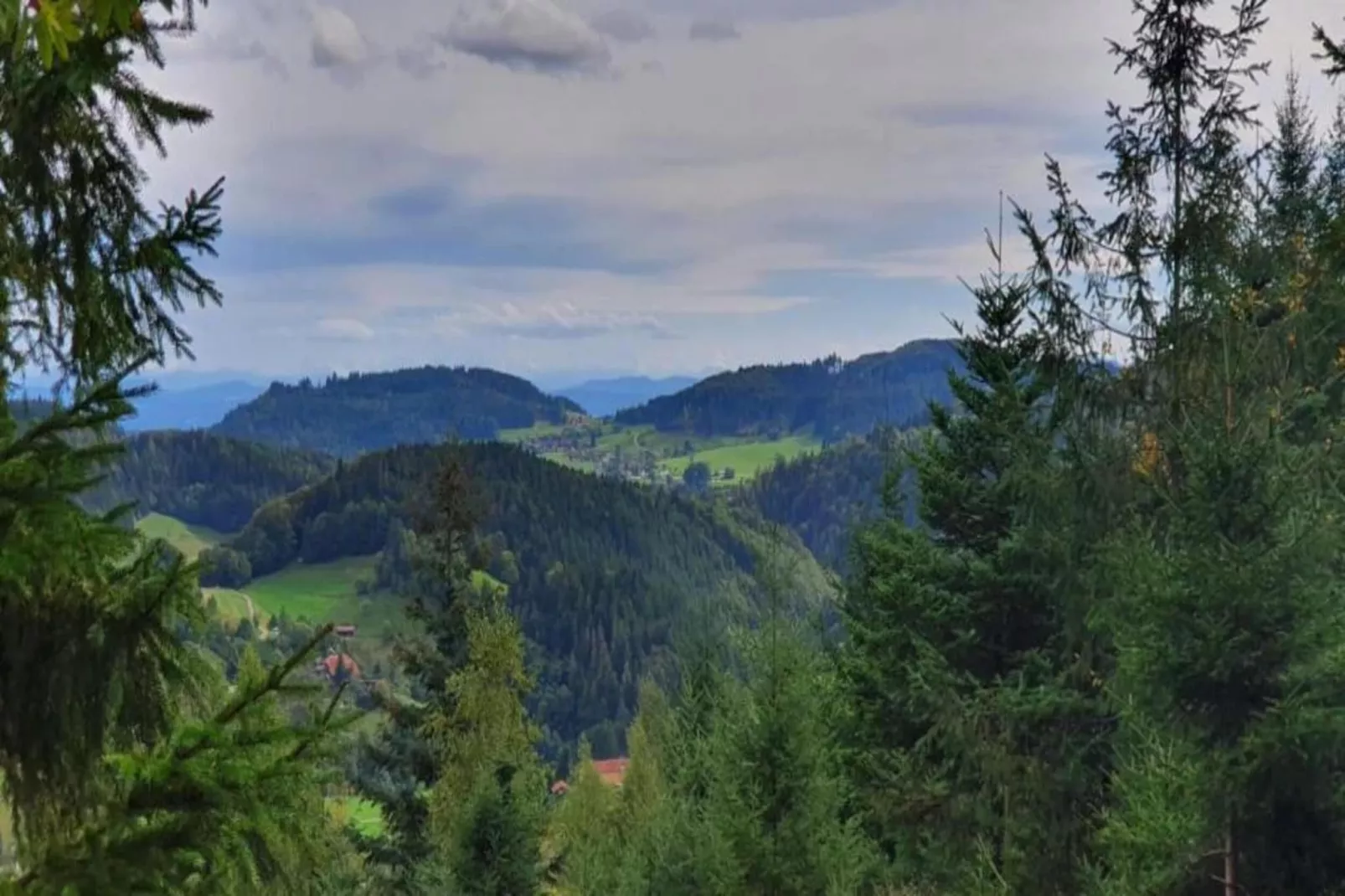 Schwarzwald-Gebiete Sommer 20 km