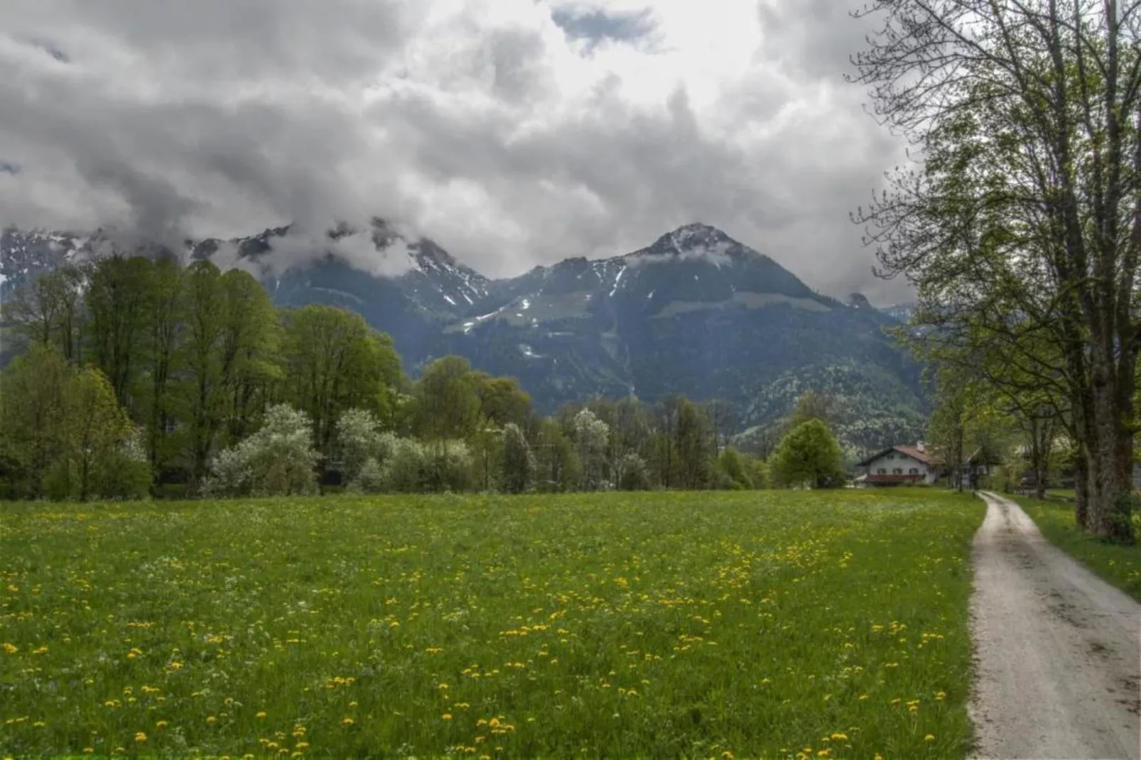 Im Berchtesgadener Land-Gebiete Sommer 20 km
