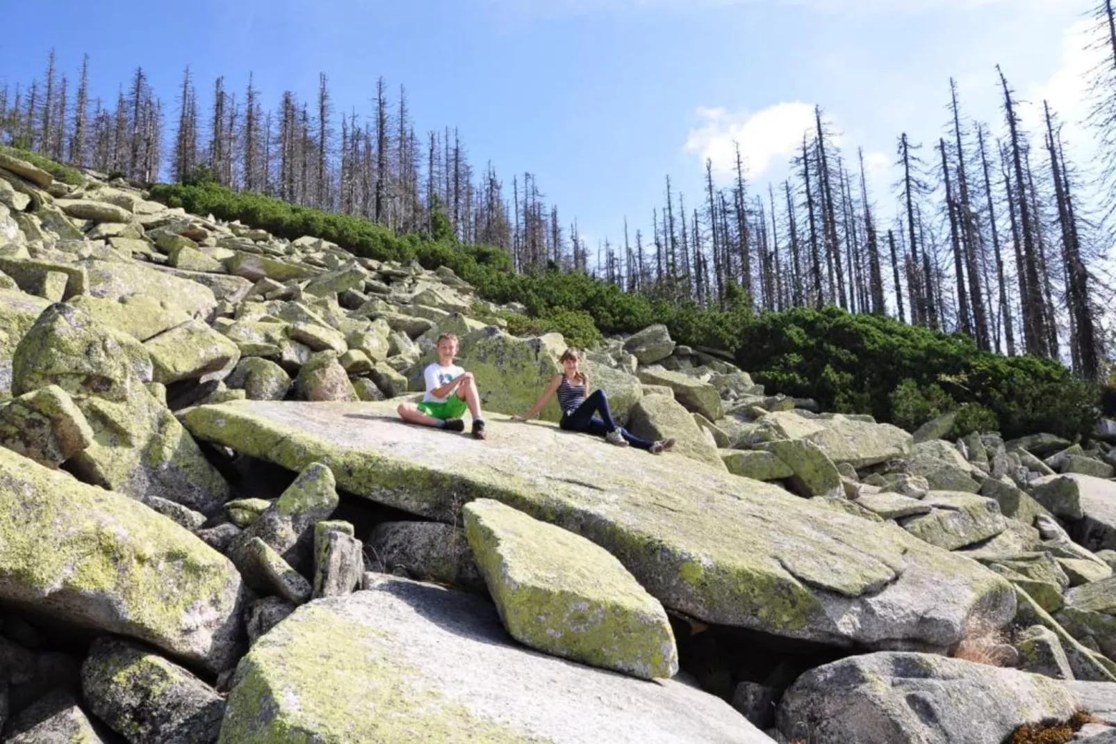 Vakantiepark Jägerwiesen 3-Areas within 20km in summer