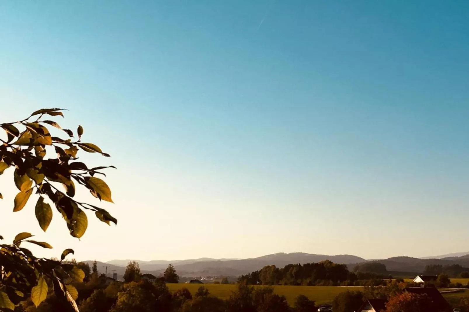 Stocking-Areas within 20km in summer