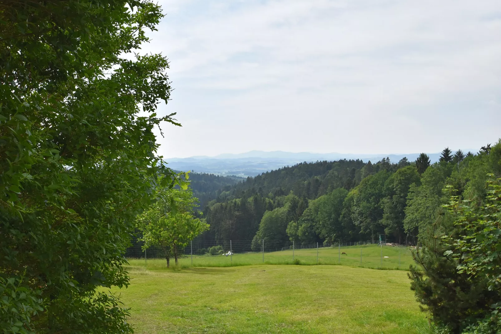 Stocking-Vue d'été