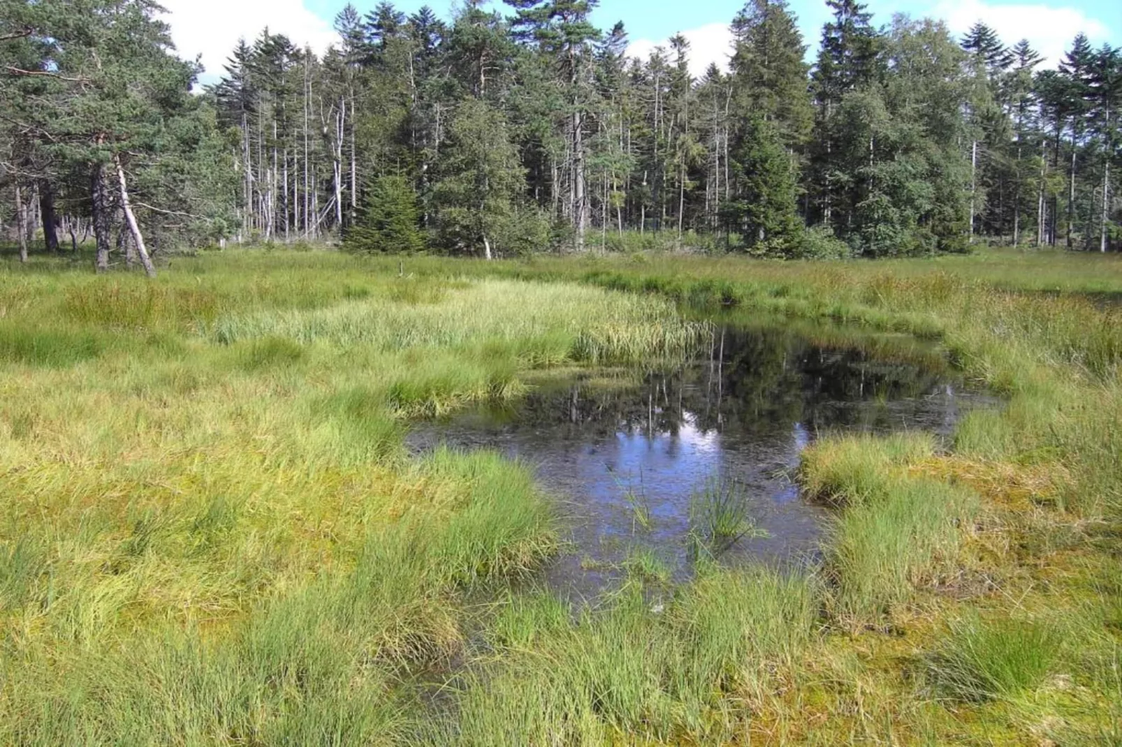 Gästehaus Kandlbinder-Areas within 20km in summer
