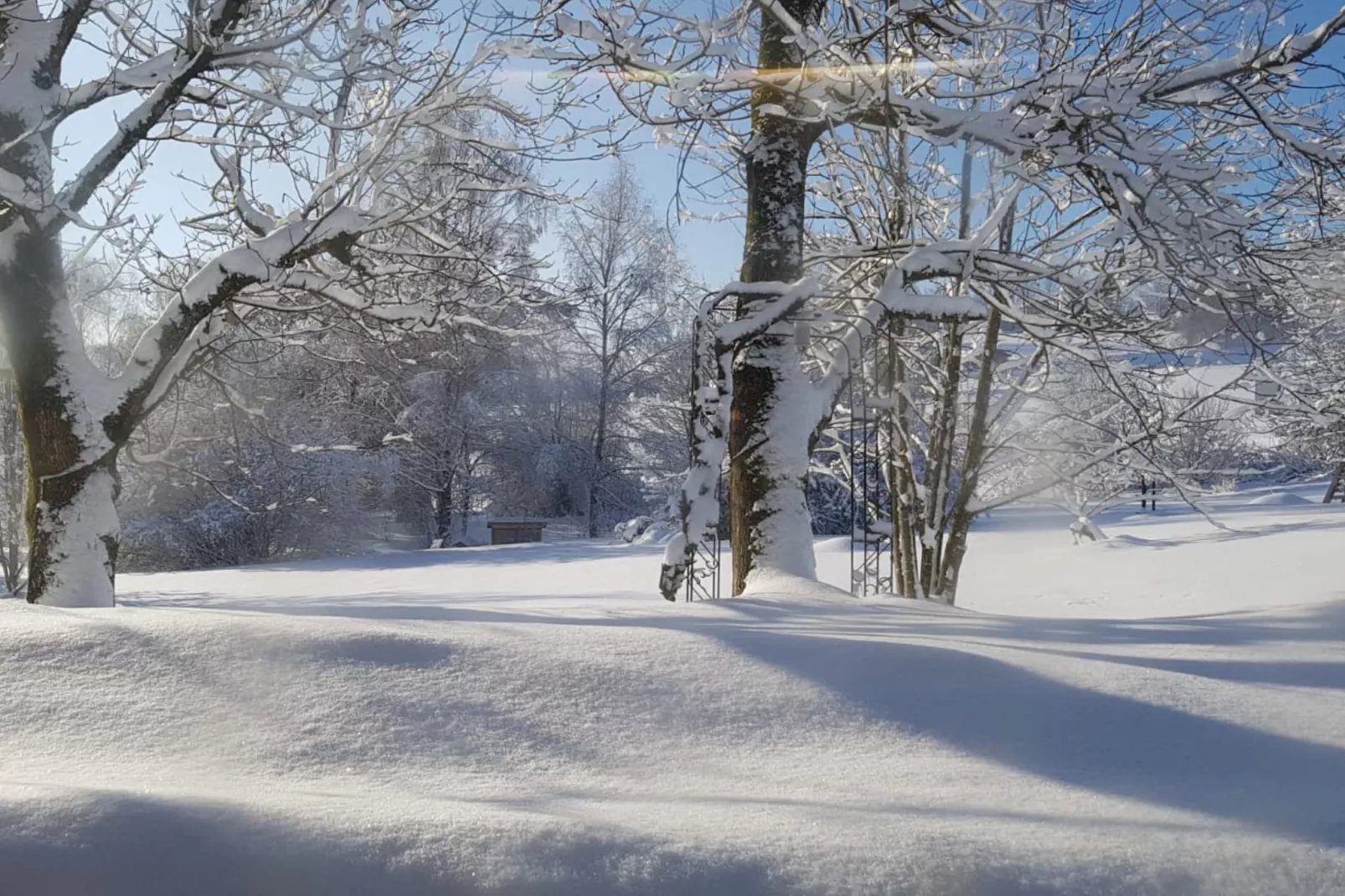 Waldferien-View in winter