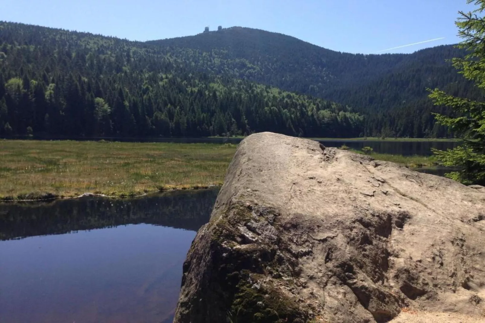 Ferienhaus mit Sauna im Bayerischen Wald-Areas within 20km in summer