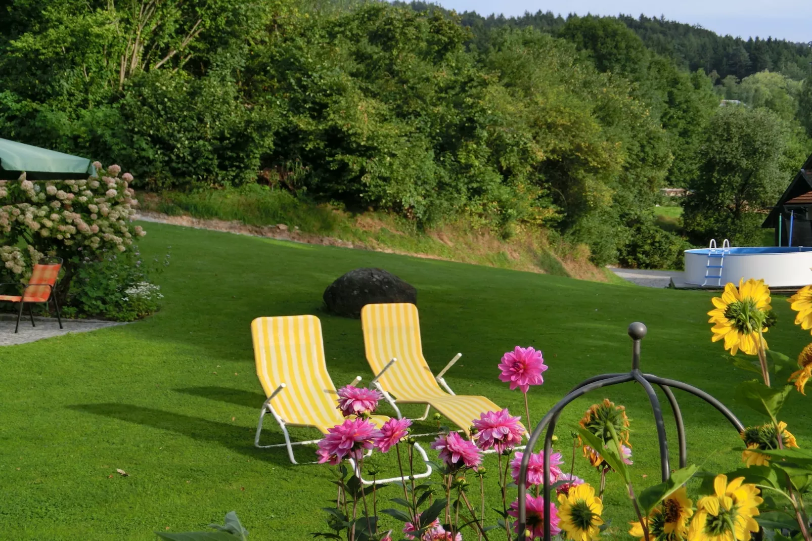 Vergissmeinnicht-Gardens in summer