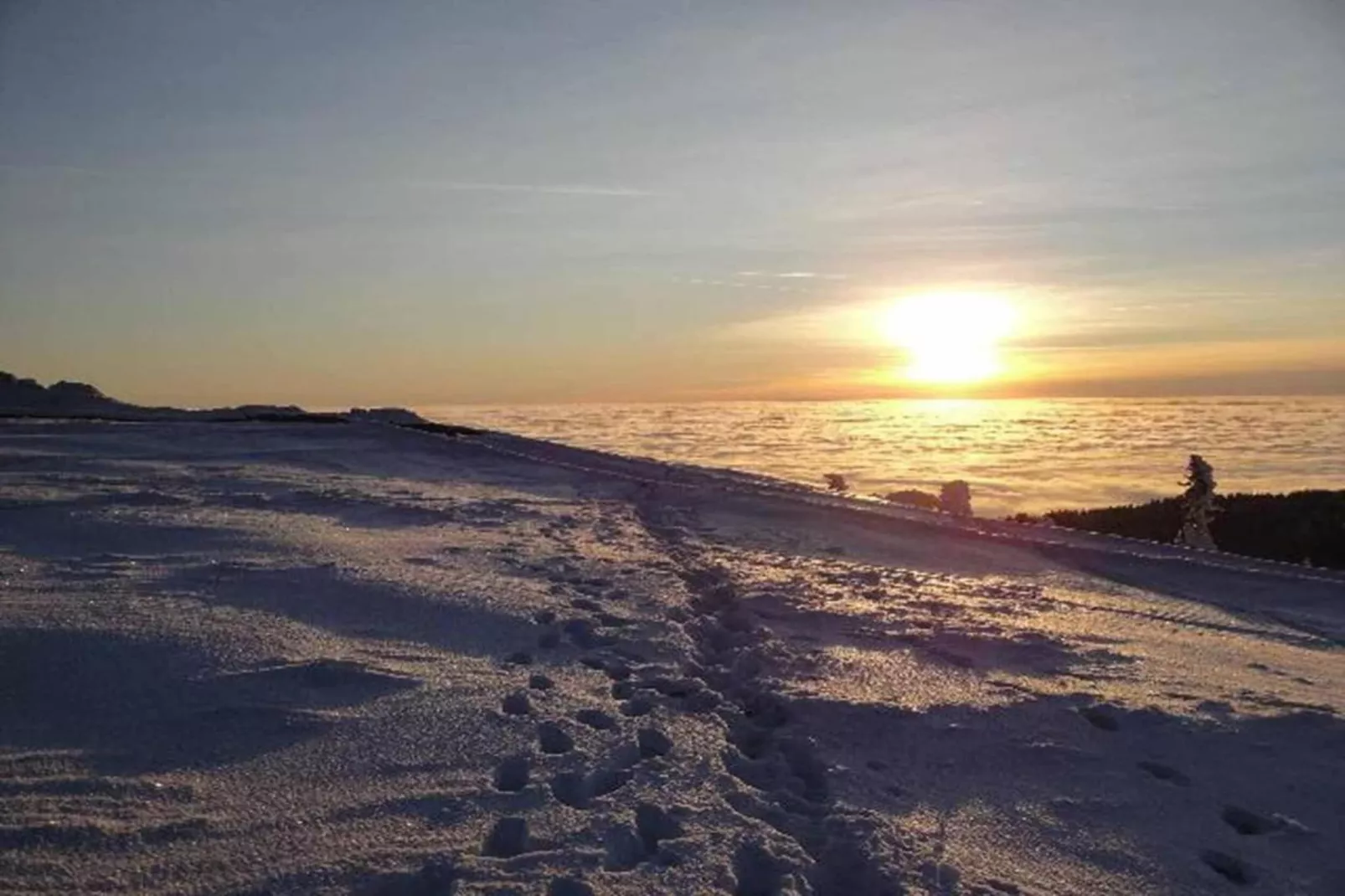 Kreut-Areas within 20km in summer