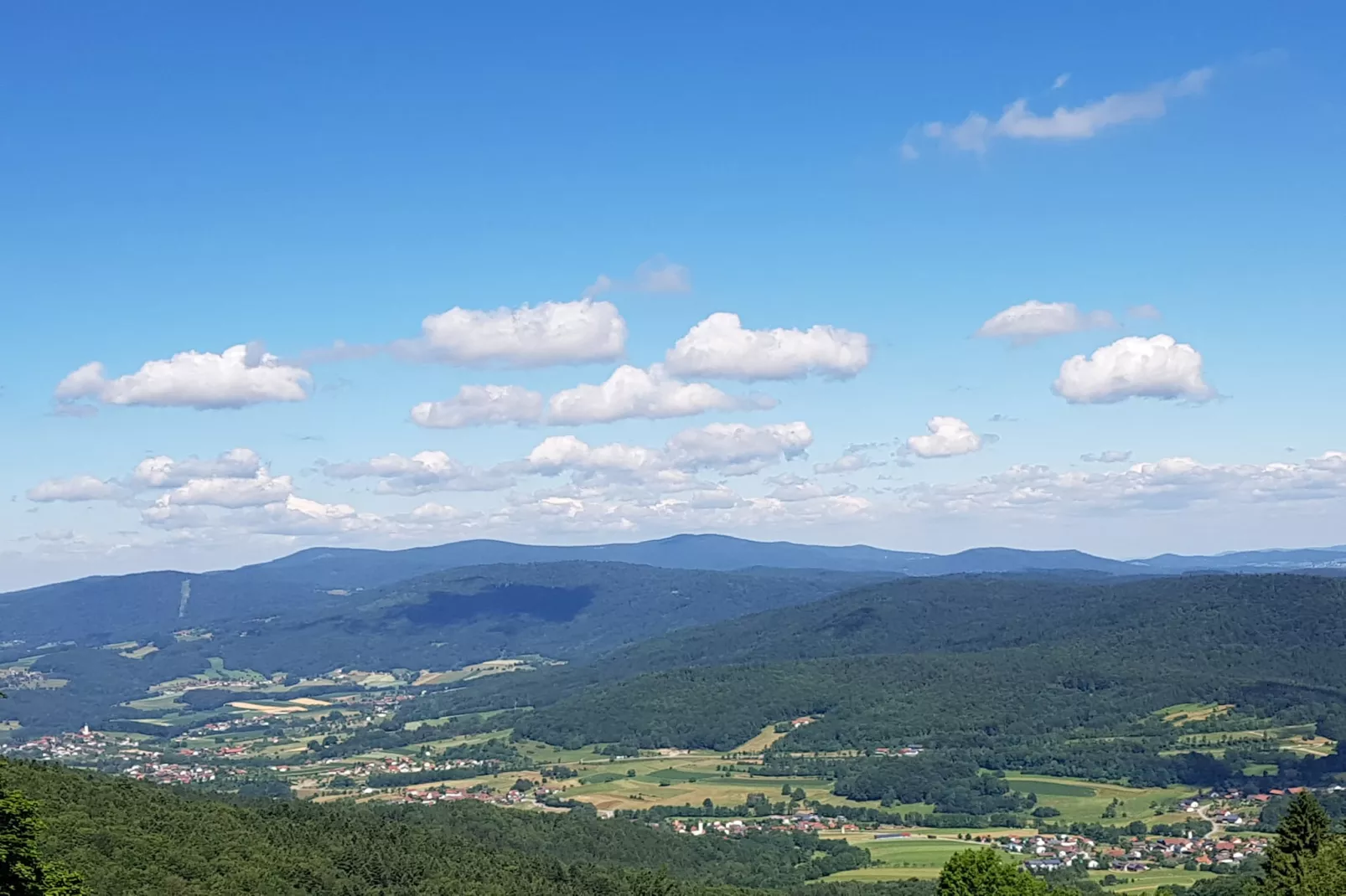 Talblick-View in summer