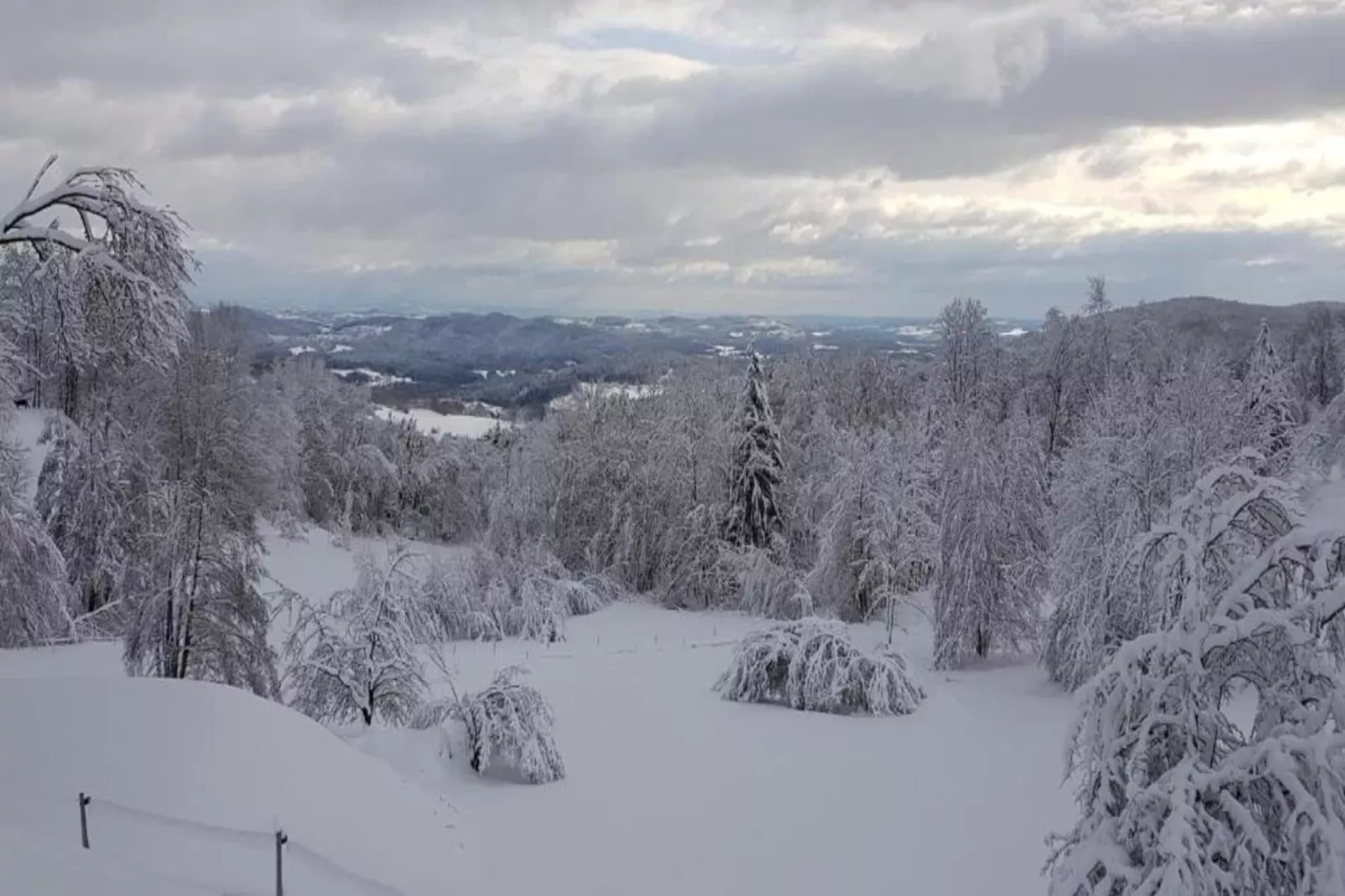Sonnenwald-Area within 20km in winter
