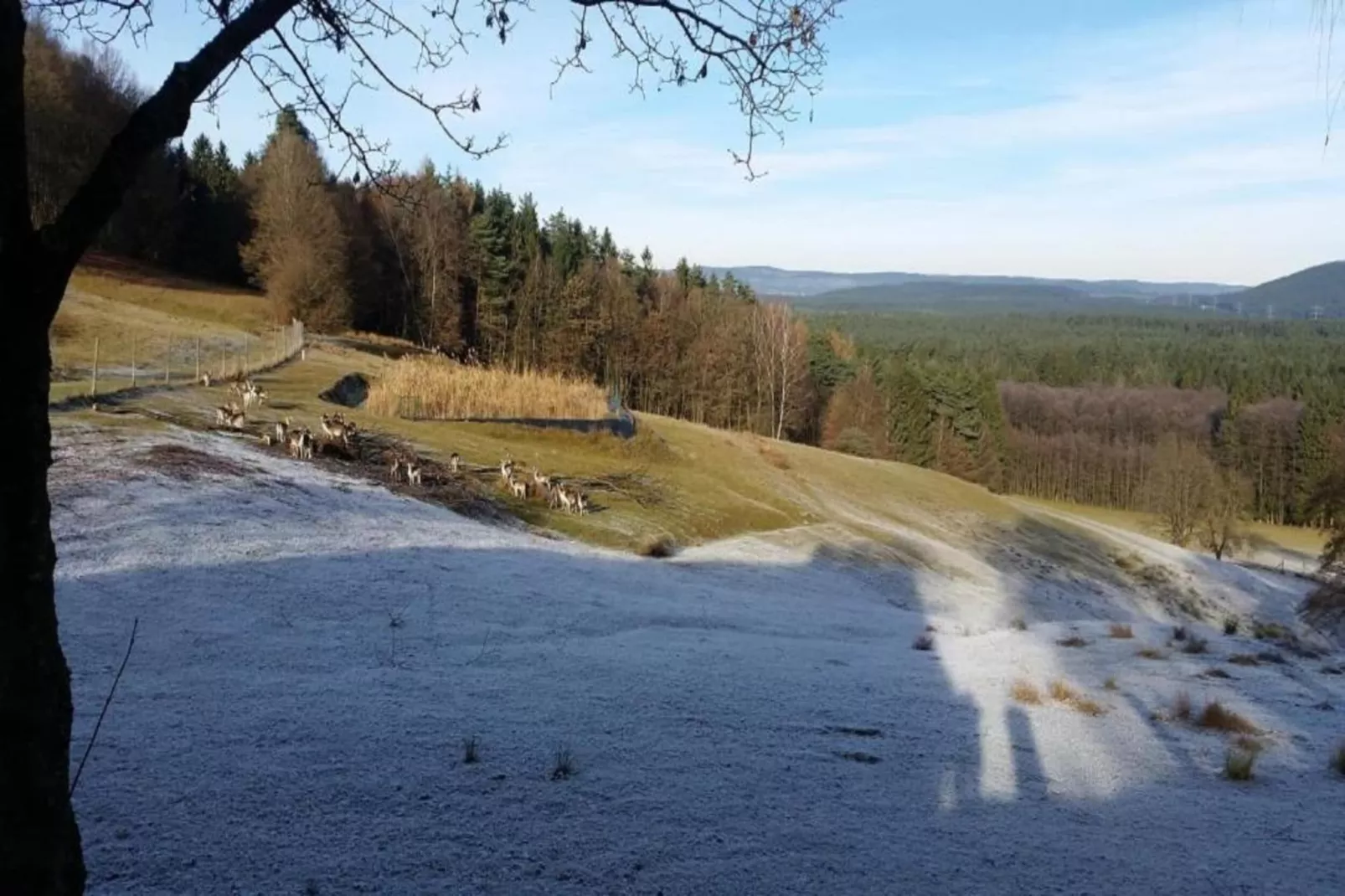 Burggrub-Area within 5km in winter