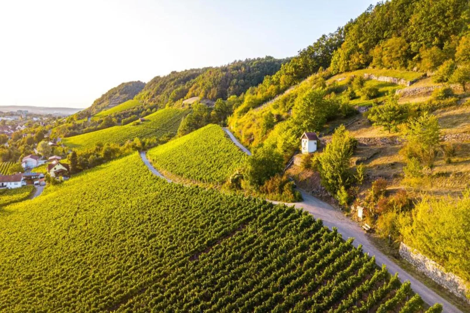 Wilder Wein-Areas within 20km in summer