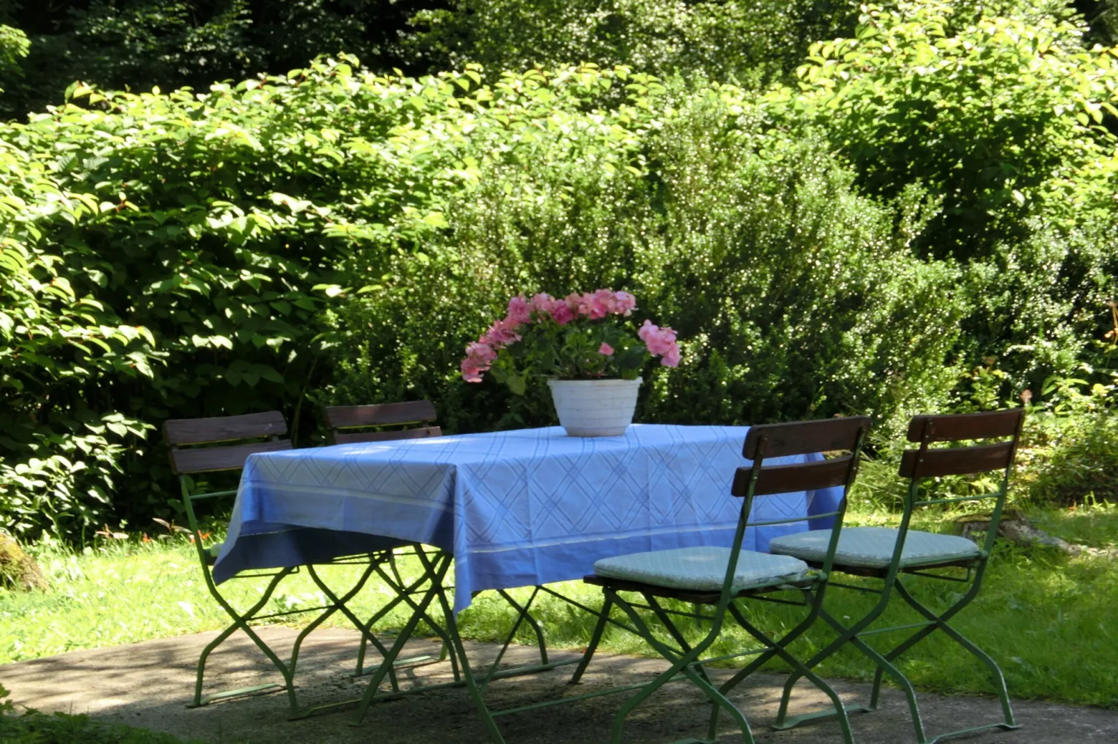 Waldblick-Garten Sommer