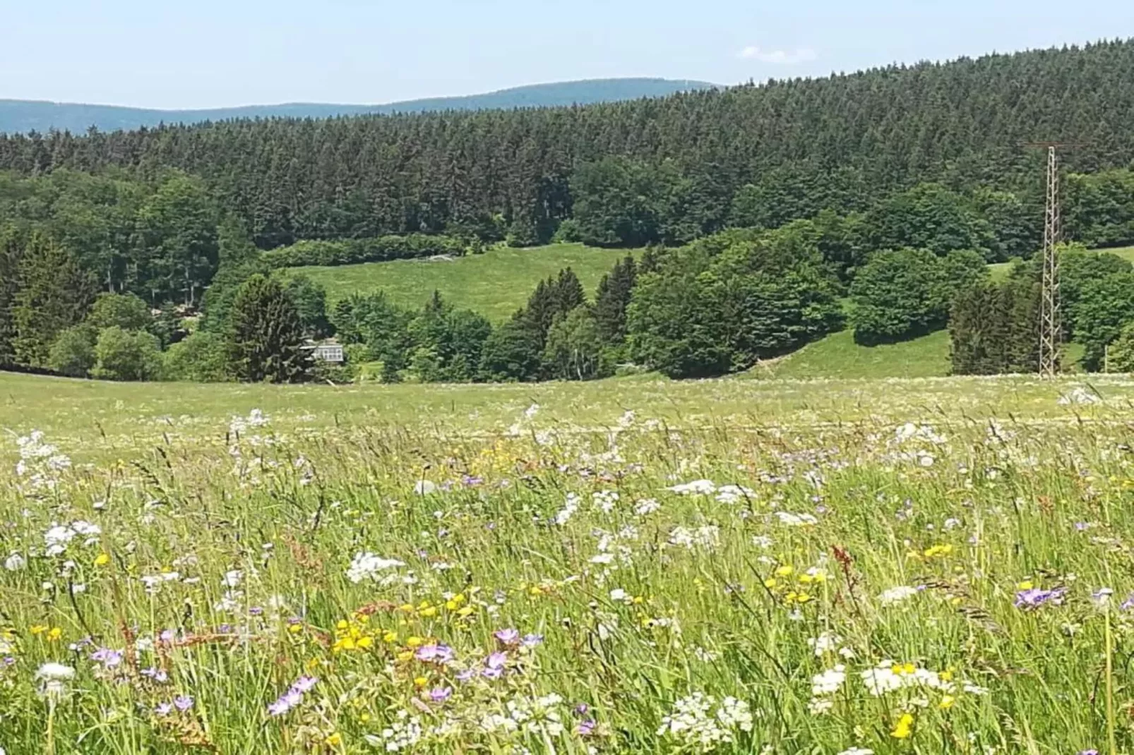 Thüringer Wald-Areas within 20km in summer