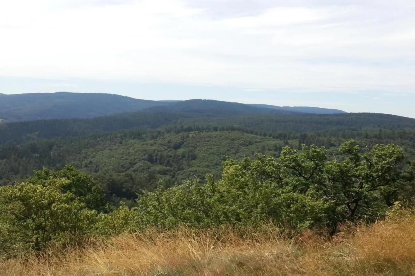 Mosbach-Areas within 5km in summer