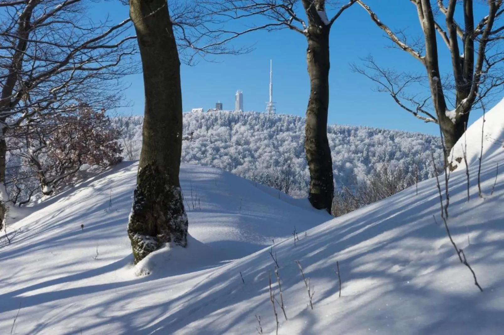 Sonnenschein-Area within 20km in winter