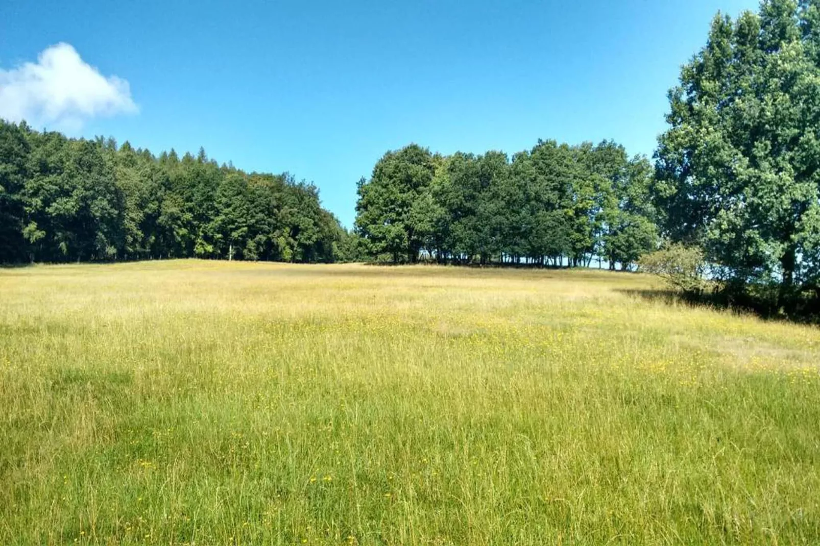 Thüringer Wald-Gebiete Sommer 20 km