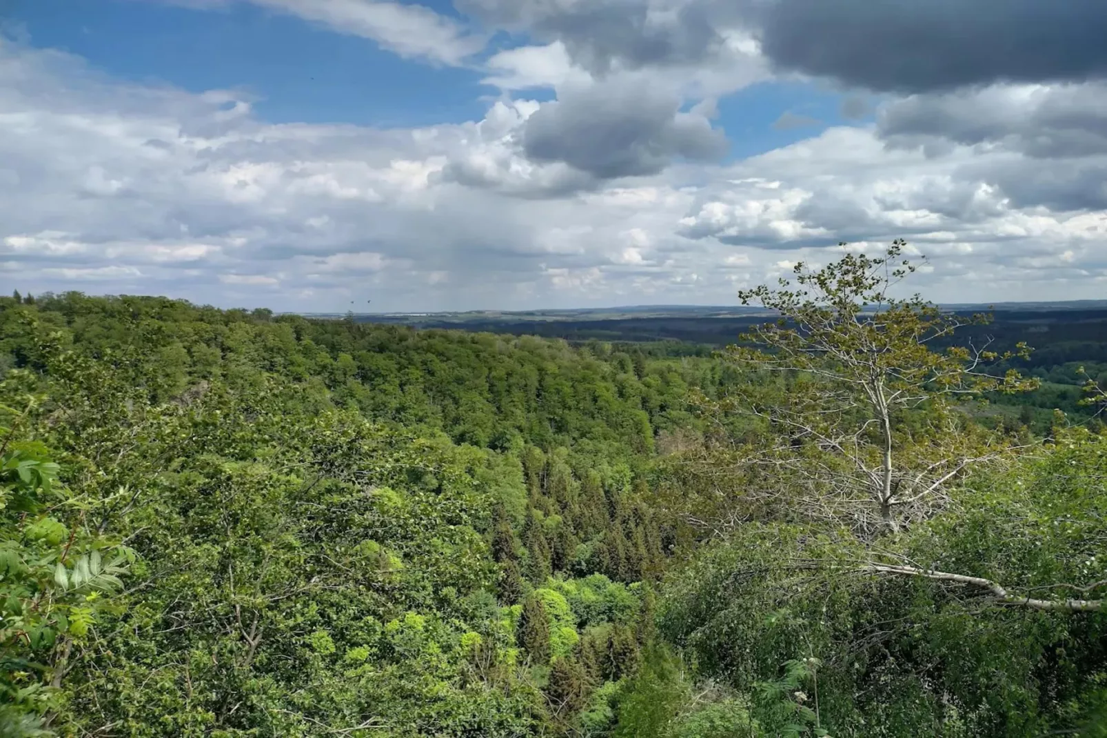 ExclusivLodge - 6 Erw 2 Ki-11 J-Areas within 5km in summer