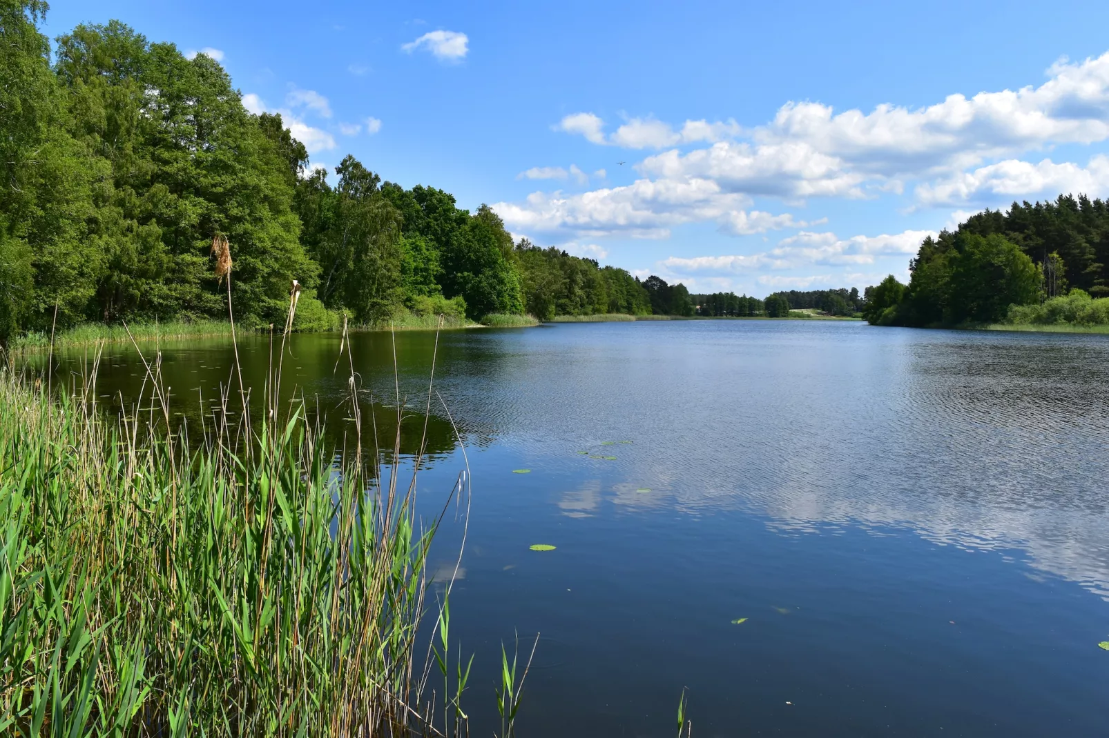 Doppelhaus Seepferdchen-Zones été à 1 km