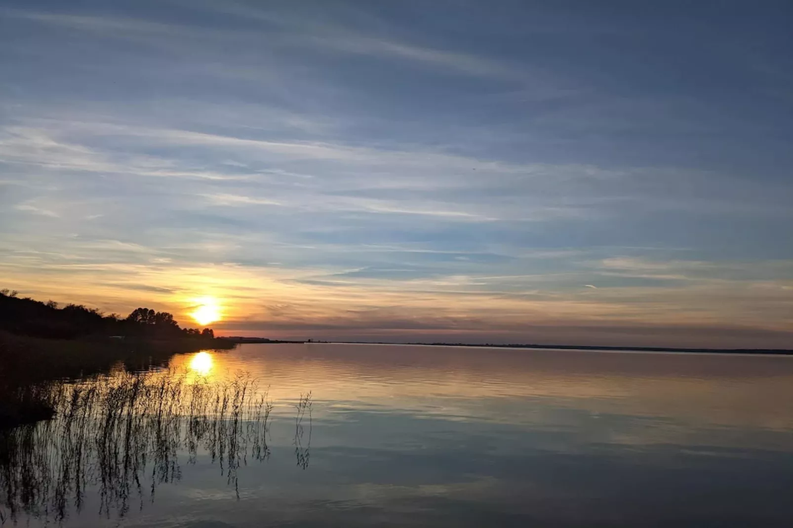 Seeschwalbe 44-Gebiete Sommer 1 km
