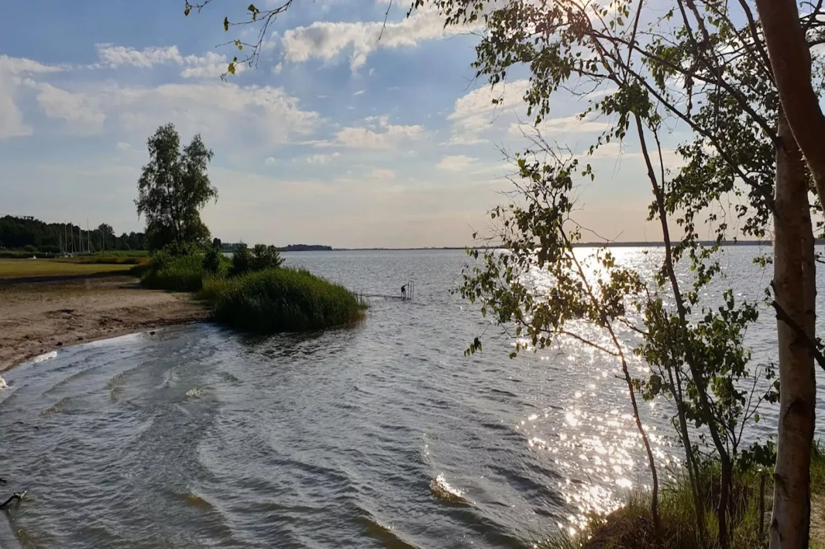 Seeschwalbe 55-Areas within 1km in summer