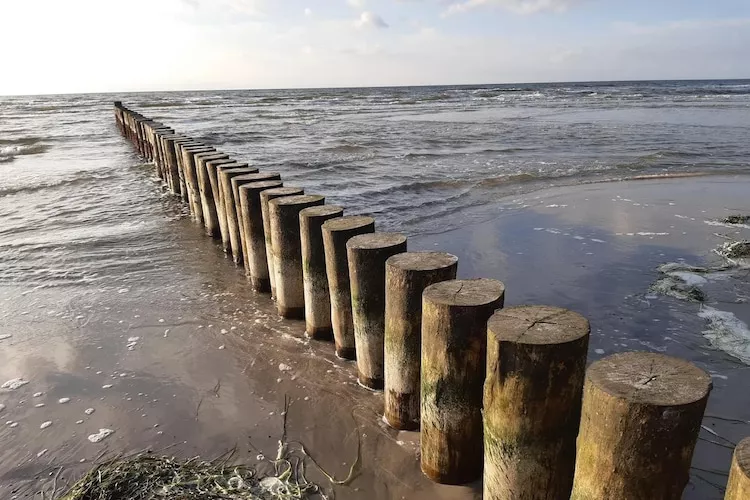 Post Hiddensee-Wohnung 18-Zones été à 5 km