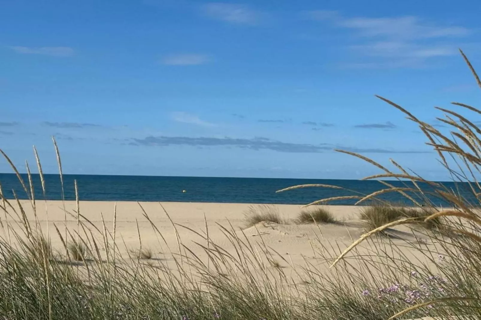 Home Atlantico-Areas within 20km in summer