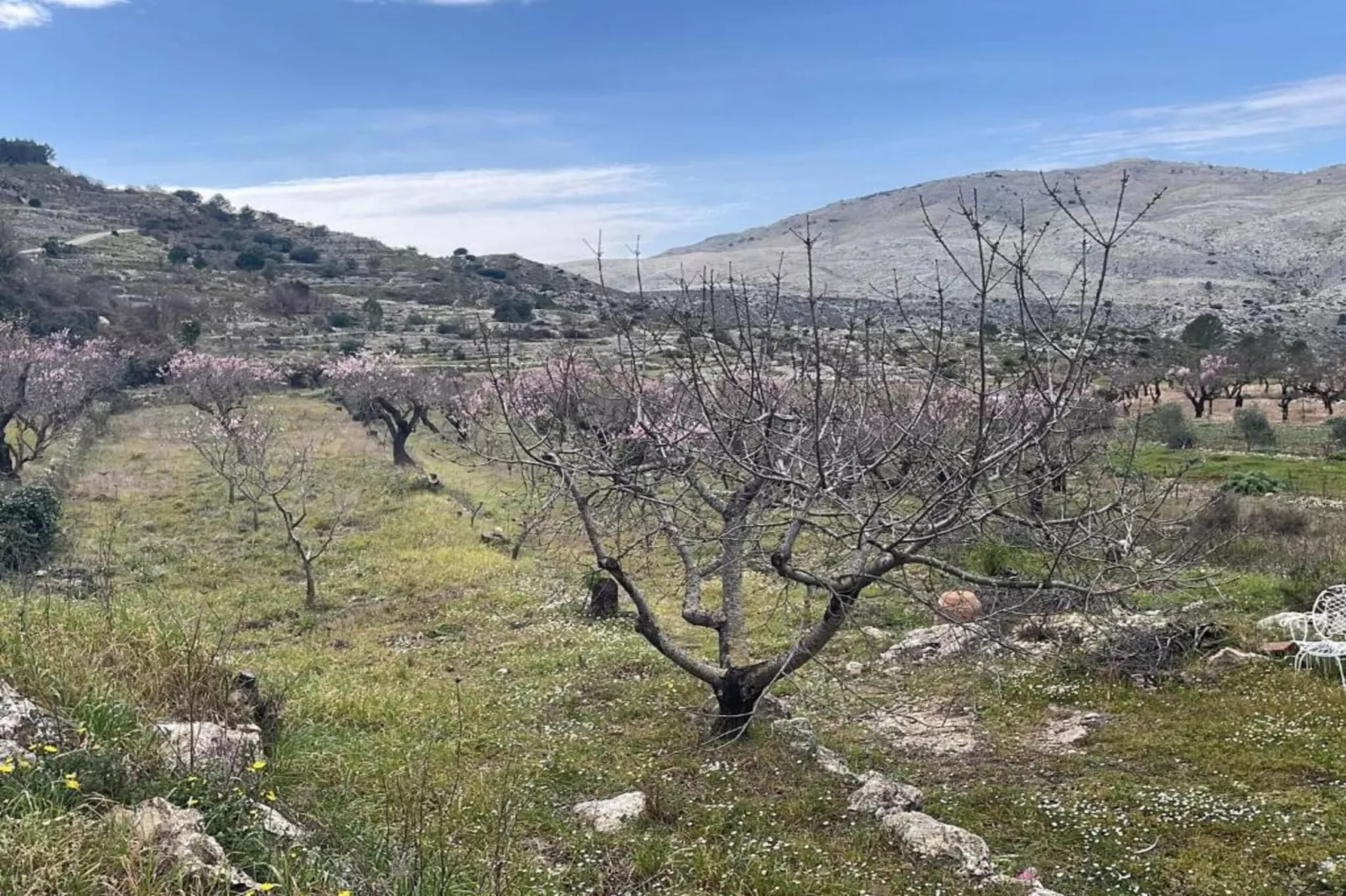 Finca Caballo Verde-Areas within 5km in summer