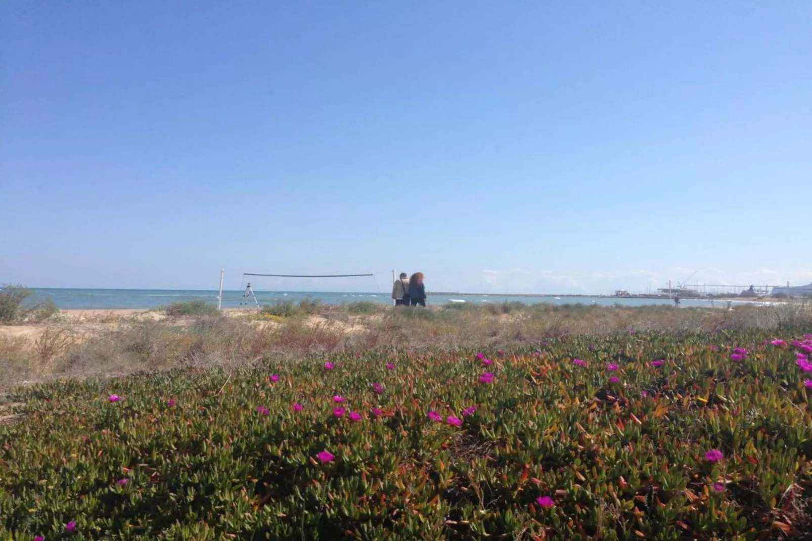 Ca la Vida-Areas within 20km in summer