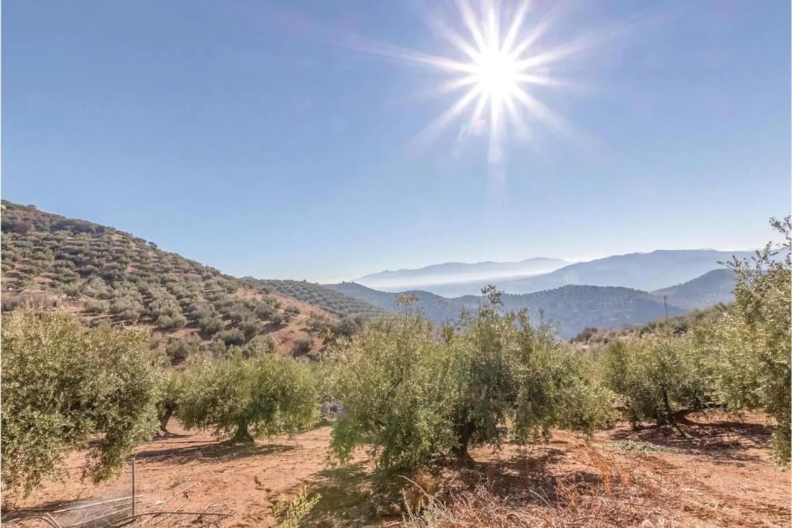 El Molino-Areas within 20km in summer