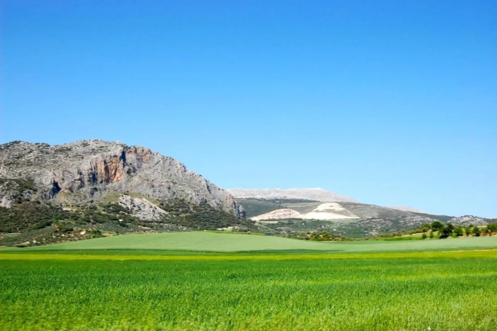 Cortijo Los Alazores-Areas within 5km in summer